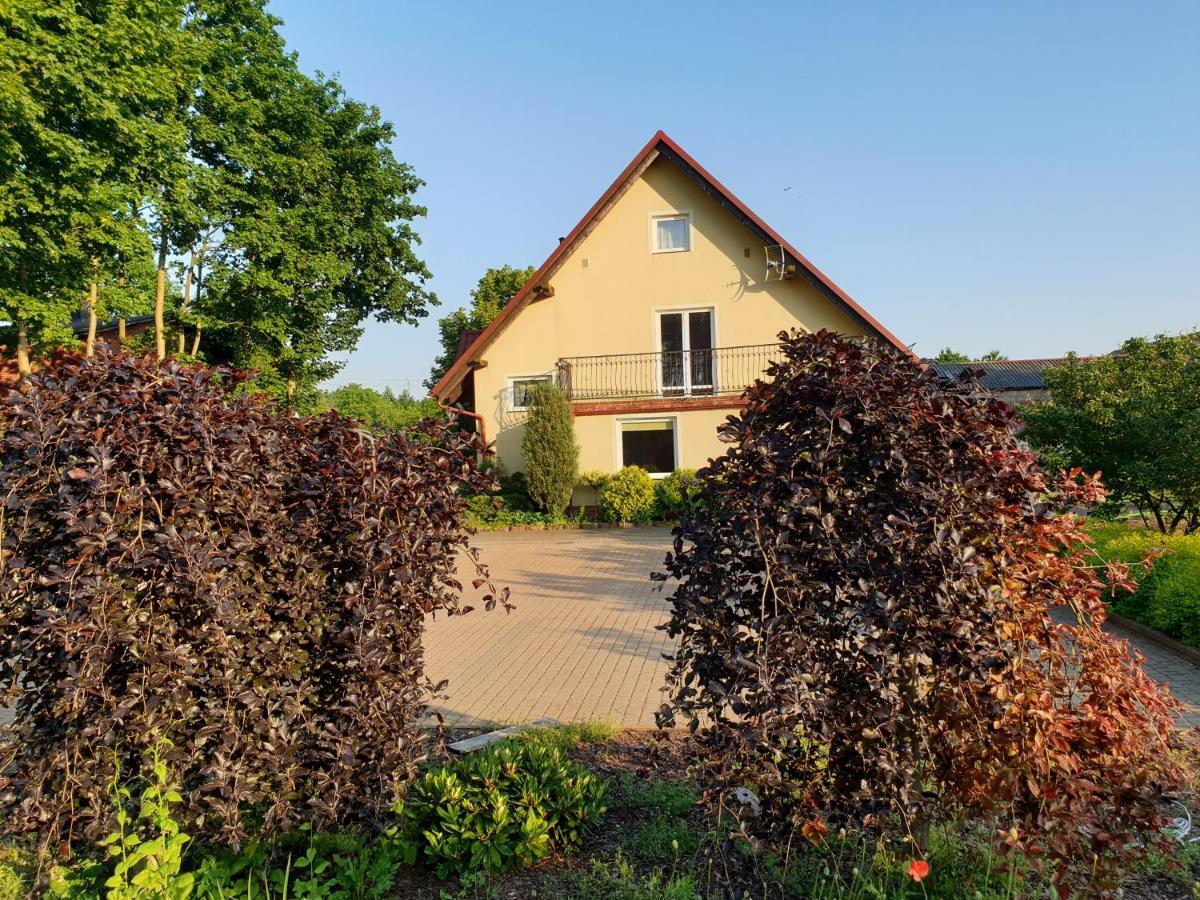 Gospodarstwo Agroturystyczne Damroka Szymbark  Exterior foto
